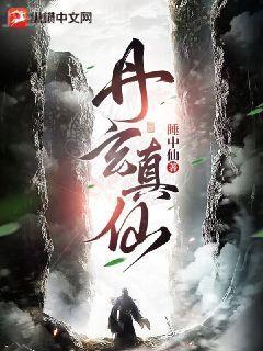 公允價值會計(jì)研究（會計(jì)之星·博導(dǎo)文庫）